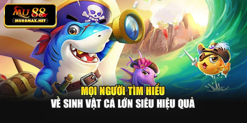 Mọi người tìm hiểu về sinh vật cá lớn siêu hiệu quả